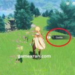 Cara Mendapatkan Cecilia Flower Genshin Impact cara mendapatkan cecilia flower genshin impact