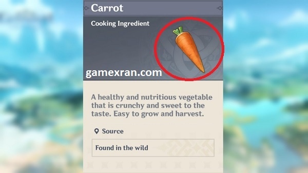 lokasi carrot genshin impact