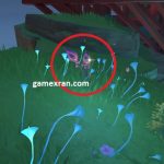 Lokasi Naku Weed di Genshin Impact Ternyata Mudah lokasi naku weed di genshin impact